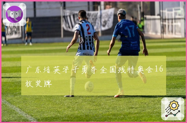 广东培英学子勇夺全国残特奥会16枚奖牌