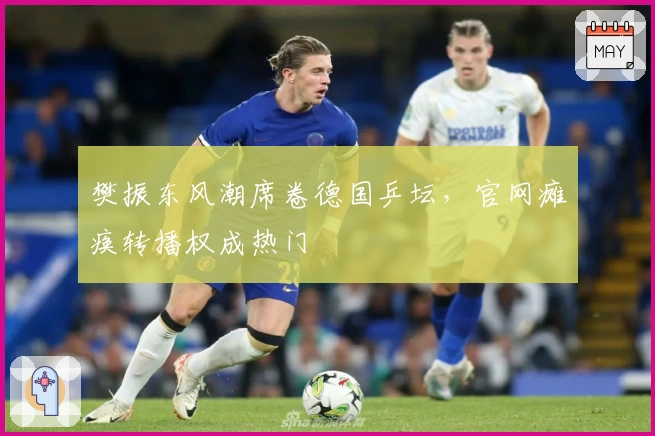 樊振东风潮席卷德国乒坛，官网瘫痪转播权成热门